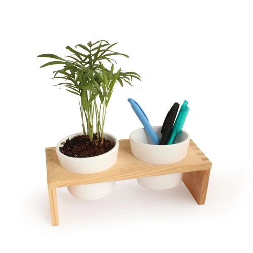 image du produit Plateau en bois avec plant et 2 pots céramique