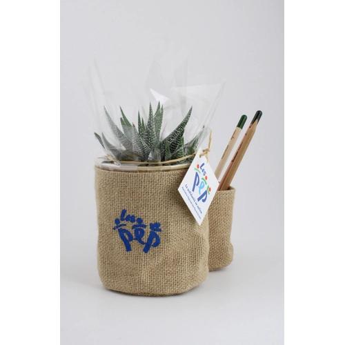 image du produit Pots à crayons avec plante en jute