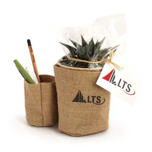 image du produit Pots à crayons avec plante en jute