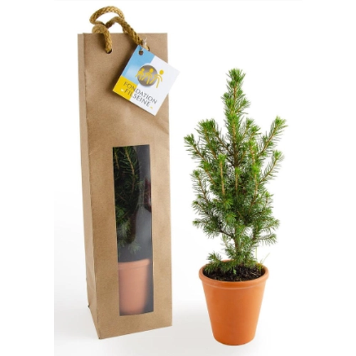 image du produit Sapin de noël en pot terre cuite et sac kraft prestige