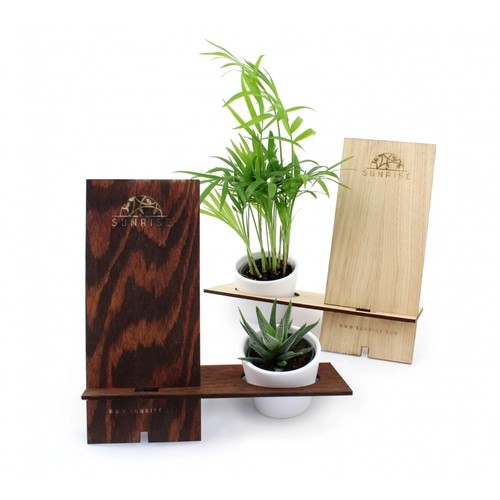 image du produit Support téléphone en bois avec plante