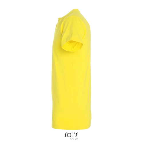 image du produit T-shirt homme col rond, 100% coton semi-peigné ringspun
