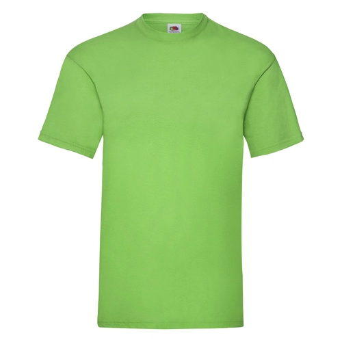 image du produit T-shirt homme en coton VALUEWEIGHT