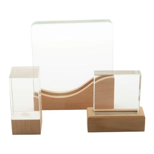 image du produit Trophée en verre avec son socle en bois de hêtre