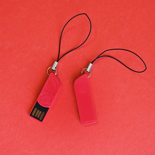 image du produit USB 95% biodégradable